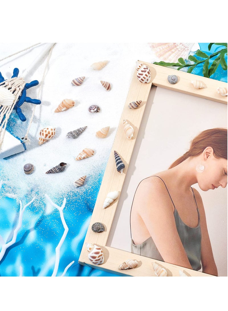 KASTWAVE 140 PCS Open Back Natural Spiral Shell Beads, Spiral Conch Shells Charms, Beach Seashells Beads, Suitable for DIY Craft Jewelry Making, Home or Wedding Decoration - Image 2