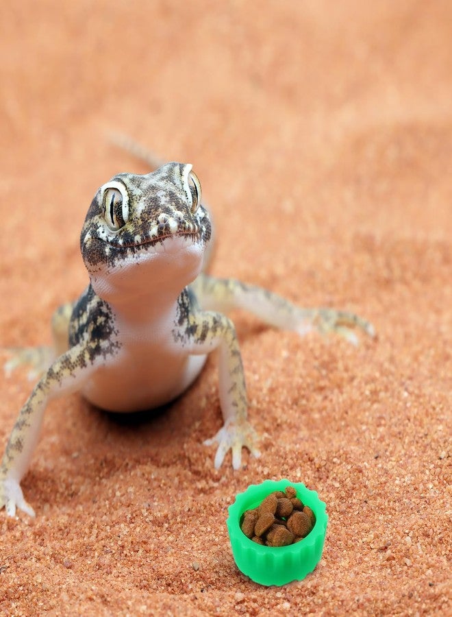 YQQYG 6PCS Crested Gecko Food Dish, Silicone Gecko Food Cups Reptile Dish for Geckos, Lizards, Reptiles - Image 5