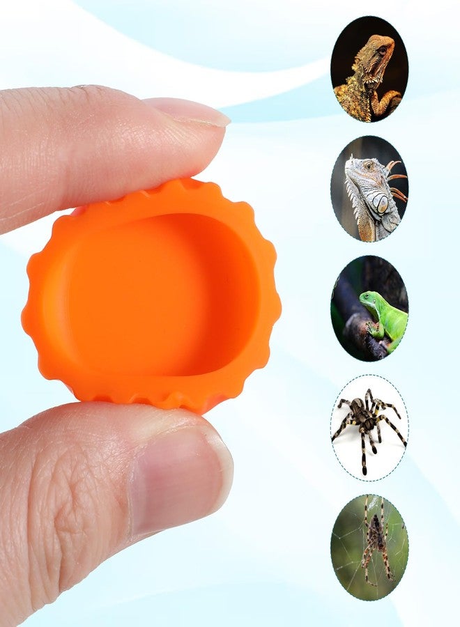 YQQYG 6PCS Crested Gecko Food Dish, Silicone Gecko Food Cups Reptile Dish for Geckos, Lizards, Reptiles - Image 4