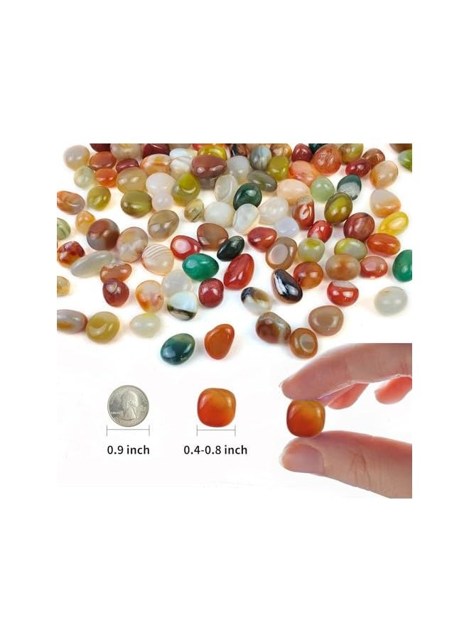 The Bros Decorative Polished Rocks, 0.5lb Colorful Pebbles, 0.8-1.5 cm Natural Mixed Color River Rocks for Plants, Fish Tank Rocks, Garden Rocks, Vase Fillers, Outdoor Decorative Stones and Landscaping Rocks  - Image 5