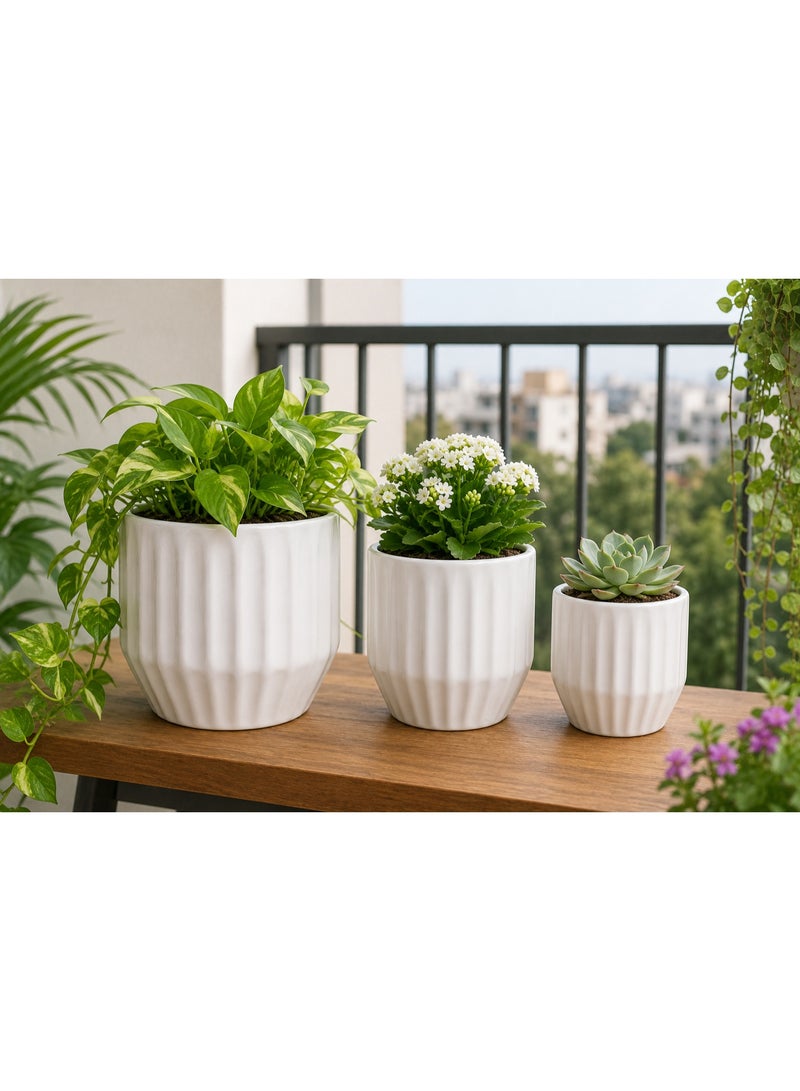 Emarald Decorative Ceramic Plant Pots Set of 3 for Indoor & Outdoor Plants – Modern Ribbed Flower Planters, White Ceramic Pots for Home, Office, Balcony, Garden & Living Room Décor - Image 3