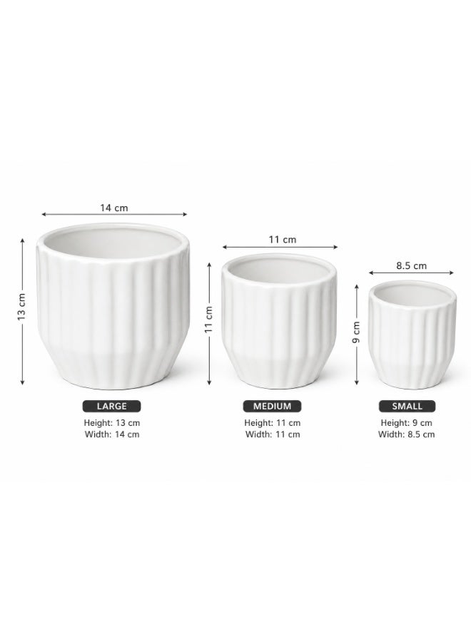 Emarald Decorative Ceramic Plant Pots Set of 3 for Indoor & Outdoor Plants – Modern Ribbed Flower Planters, White Ceramic Pots for Home, Office, Balcony, Garden & Living Room Décor - Image 5