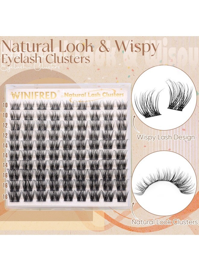 Winifred Wispy Lash Clusters Natural Look Individual Lashes C Curl Cluster Eyelash Extensions 10-16Mm Diy Eyelash Clusters Natural Lash Extension Waterproof Lashes Clusters - Image 2
