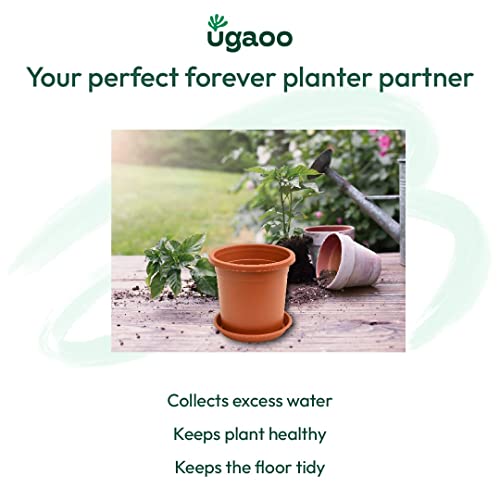 Ugaoo UV Treated Gardening Plastic Tray (Plate/Saucer) for Pots - 6 inch, Brown/Terracotta Color, Set of 12 | Tray for Plants Pot for Indoor Home Decor & Outdoor Garden & Balcony - Image 4