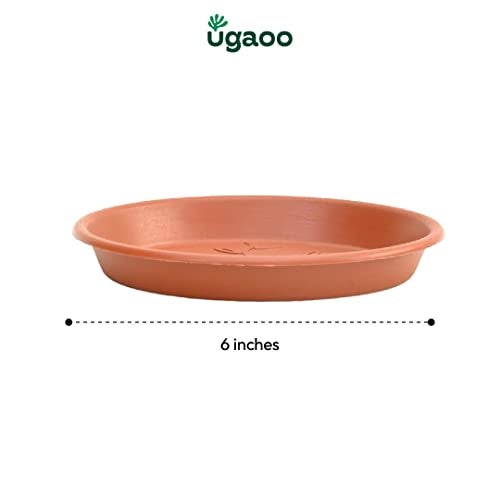 Ugaoo UV Treated Gardening Plastic Tray (Plate/Saucer) for Pots - 6 inch, Brown/Terracotta Color, Set of 12 | Tray for Plants Pot for Indoor Home Decor & Outdoor Garden & Balcony - Image 5