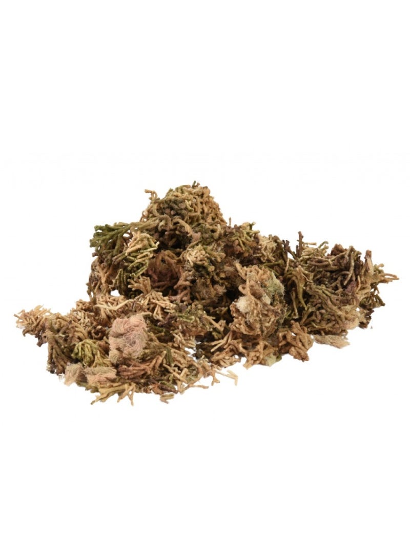 Generic Wild Fucus Herb 200 grams 