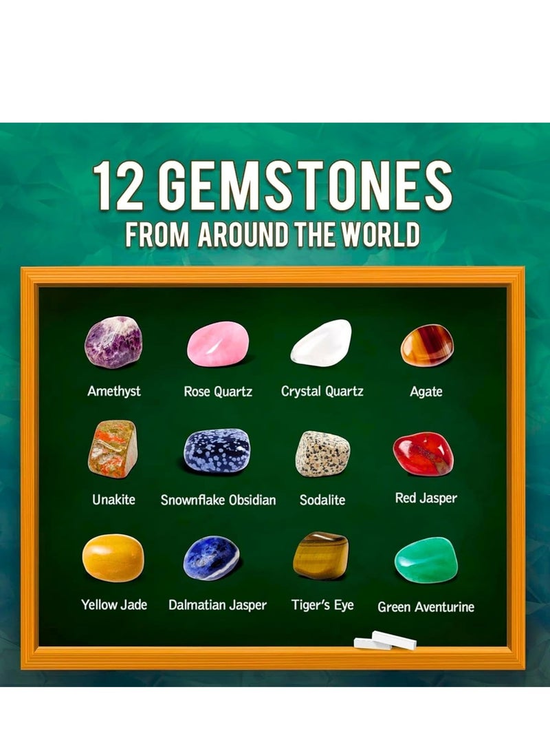 ARGT طقم حفر الأحجار الكريمة - 12 حجر كريم حقيقي وطقم تعدين الكريستال للأطفال - لعبة علمية في العلوم والتاريخ والجيولوجيا مع أدوات الحفر - هدية تعليمية ممتعة للأولاد والبنات من عمر 6 سنوات وما فوق - Image 5