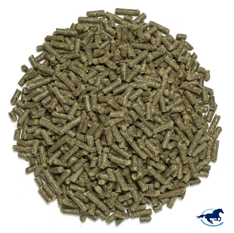 SmartEquine SmartMuscle® Mass Pellets | Horse Muscle Supplements, Bioactive Whey, Gamma Oryzanol, and More | Ideal for Lean Muscle Development and Maintenance | 56 Servings | 10 lb Bucket - Image 3