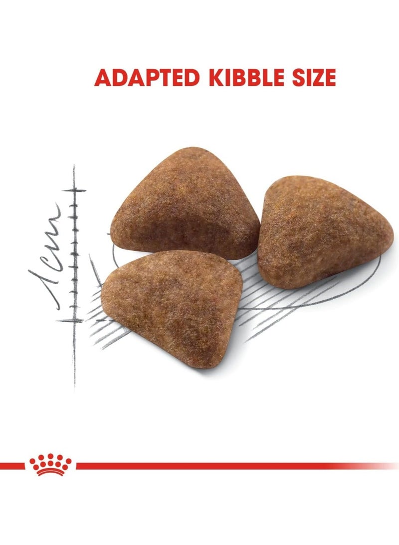 Royal Canin Indoor Dry Food – Tailored Nutrition for Indoor Adult Cats 10Kg - Image 5
