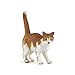 Papo Dog and Cat Companions Figures Red Cat - Image 2