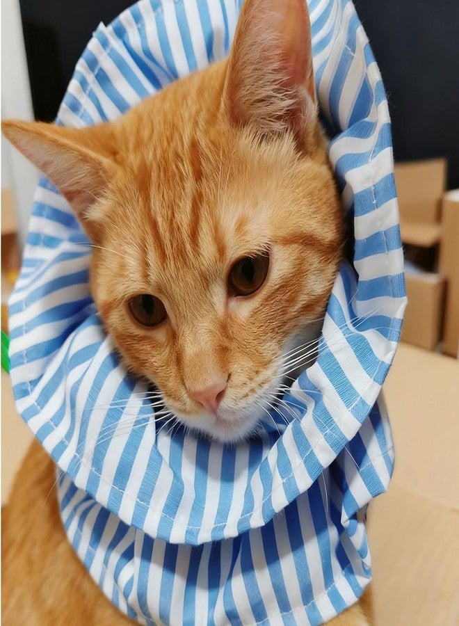 سكويشي طوق مخروطي للقطط، طوق واقي للرقبة للقطط بعد العمليات الجراحية، يمنع لعق وخدش الجروح، طوق مريح للقطط والكلاب الصغيرة - Image 4