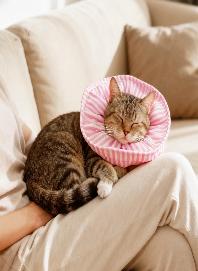 سكويشي طوق مخروطي للقطط، طوق واقي للرقبة للقطط بعد العمليات الجراحية، يمنع لعق وخدش الجروح، طوق مريح للقطط والكلاب الصغيرة - Image 2