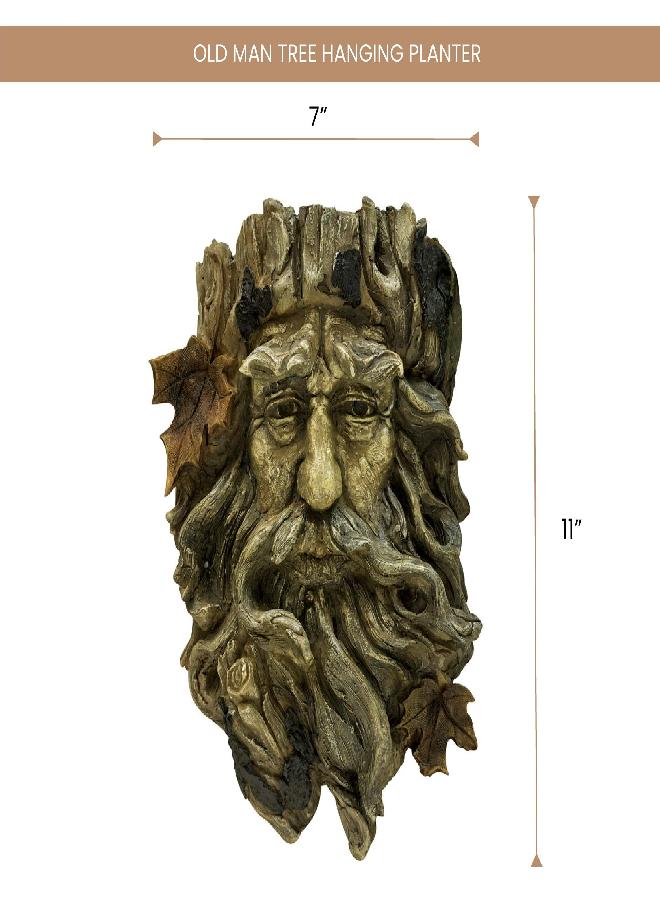 Bits and Pieces - 'Old Man' Tree Hanging Planter - Yard Decorations - Whimsical Tree Sculpture - Indoor/Outdoor Decoration - Garden Peeker Yard Art - Image 1
