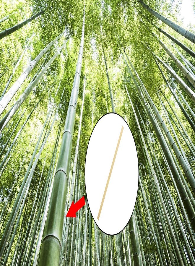 Mini Skater 5.4 Inch Bamboo Coffee Stirrers Eco Friendly Biodegradable Stir Sticks for Tea Hot Cold Beverages (100) - Image 5