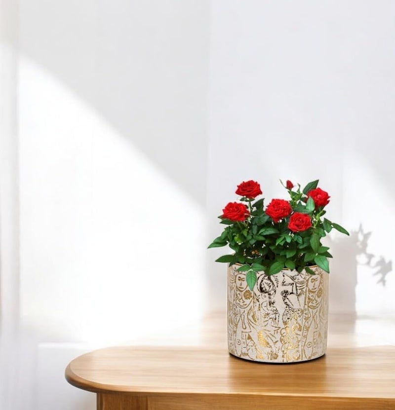 FOX & FERN Premium Ceramic Planter with Drainage-Hole for Vibrant Garden | Enhance The Ambiance of Your Home, Office or Garden (Dia. 5") (GA134B-010-GS) - Image 4