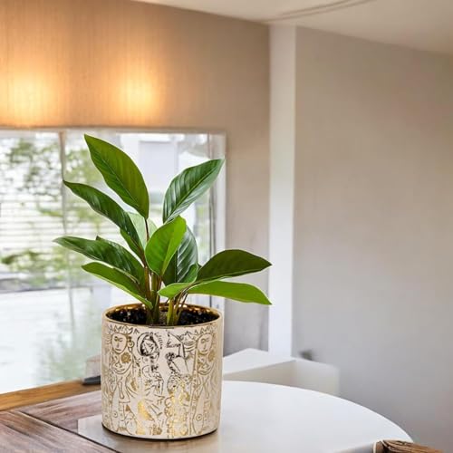 FOX & FERN Premium Ceramic Planter with Drainage-Hole for Vibrant Garden | Enhance The Ambiance of Your Home, Office or Garden (Dia. 5") (GA134B-010-GS) - Image 3