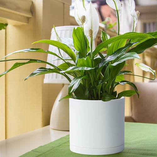 D'vine Dev 2 Pack 8 Inch Modern Plastic Plant Pots, Cylindrical Garden Planters for Plants with Drainage Holes and Saucers, White, 74-Z-M-1 - Image 3