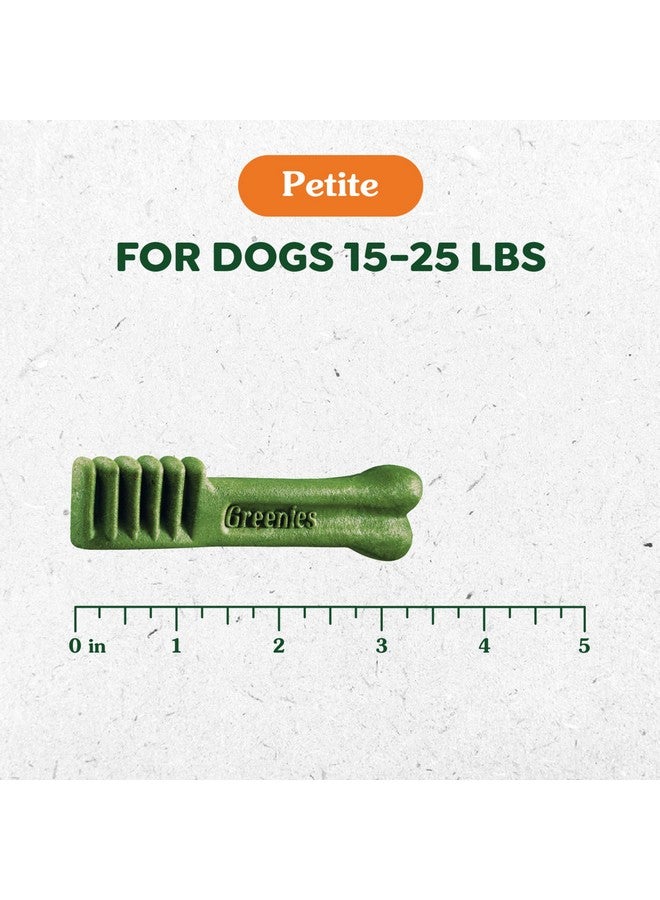 Greenies Pumpkin Spice Flavor Petite Size, Veterinarian-Recommended for Dental Care, Dog Treat Chews, Limited Edition, 12 oz., Pouch (20 Treats) - Image 3