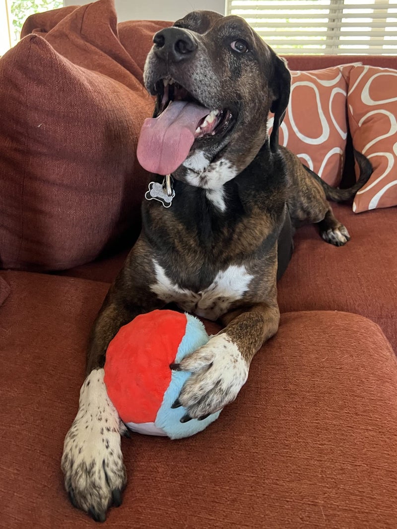Glory To Dog Large Soft Ball Plush Dog Toy Chewable Plush Squeaky Ball Stuffed with Fluff for Puppies and Medium Breeds - Image 3