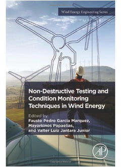 Non-Destructive Testing and Condition Monitoring Techniques in Wind Energy 