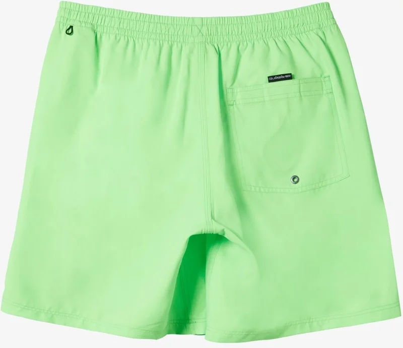 كويك سيلفر Everyday Solid Volley 15 Men's Swim Shorts