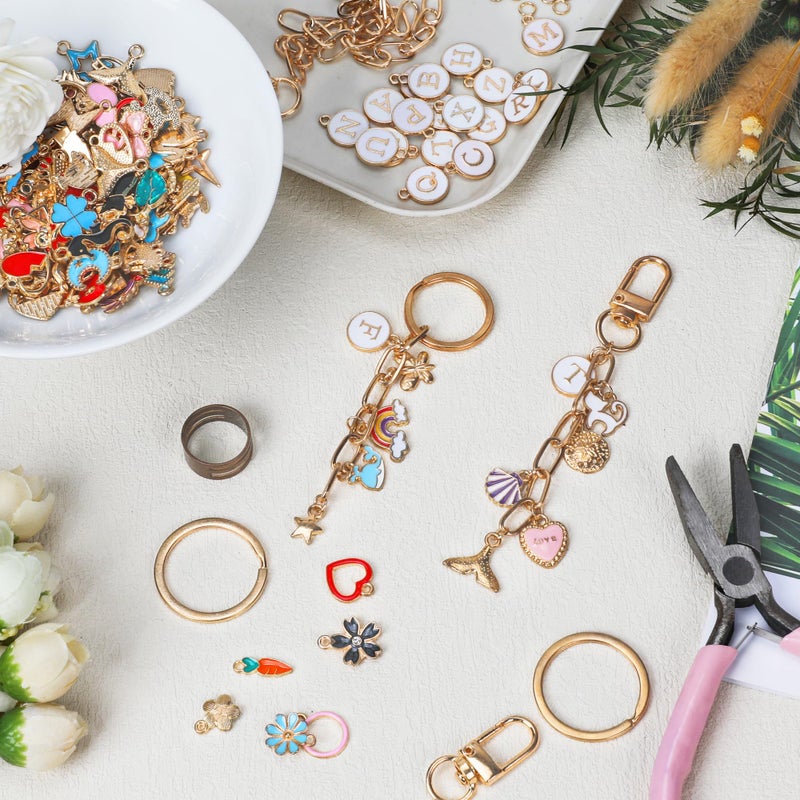 Starry 348Pcs Keychain Making Kit Bag Charm Kit 126 Charms 20 Keychain Clips with Key Ring Jewelry Plier,30 Extender Chain Swivel Snap Hooks Gold Charms 150 Jump Ring DIY Craft Supplies - Image 4