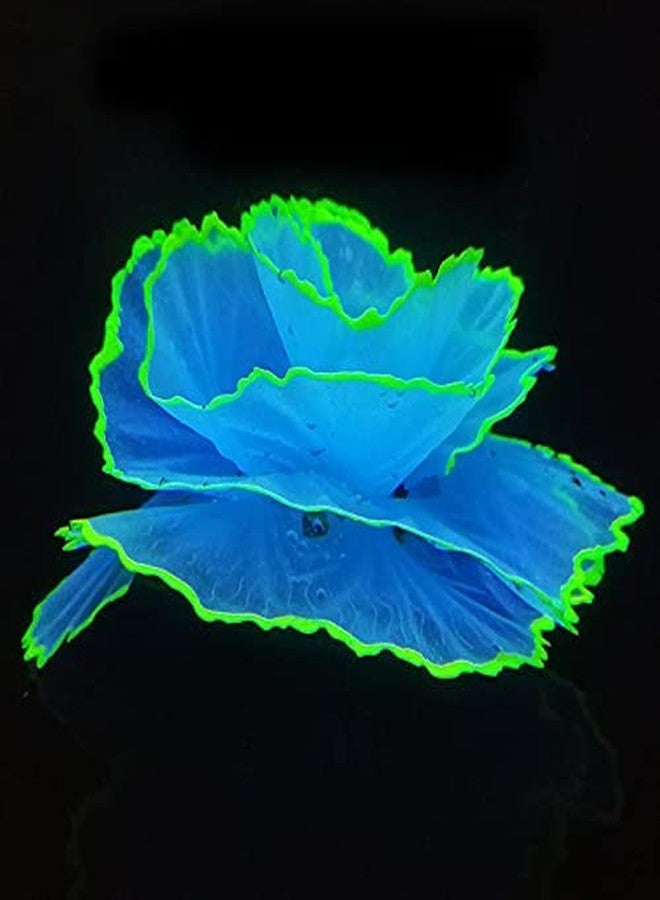 Norgail Aquarium Fish Tank Ornament Glowing Silicone Aquarium Ornaments Artificial Simulation Strip Coral Plant Decorations Landscape (Blue) - Image 3