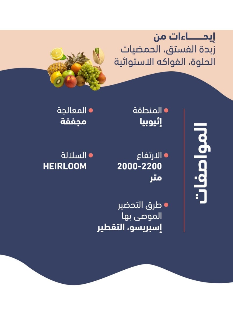 كودا محصول إثيوبيا شيلشيلي – قهوة مختصة حبوب كاملة ٢٥٠ جم | نكهات زبدة الفستق والحمضيات والفواكه الاستوائية - Image 2