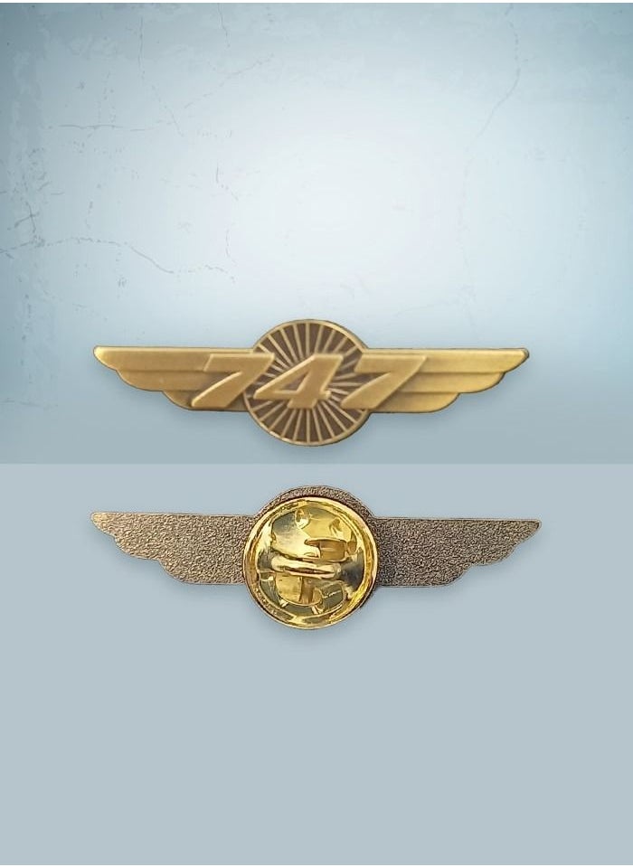 Fighter Gifts - 747 Gold Wings Pin - Image 1