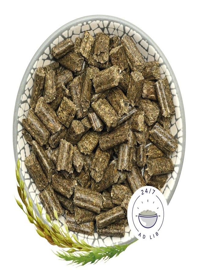 Bunny Nature Super Premium Food Rabbit Dream Basic 1.5 kg - Image 3