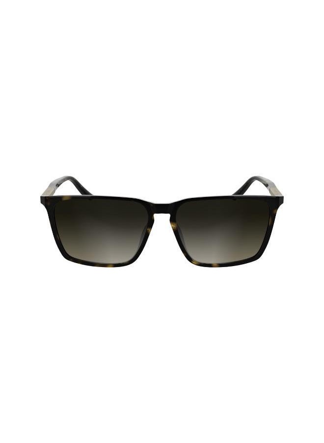 CALVIN KLEIN Rectangle Sunglasses  - Image 1