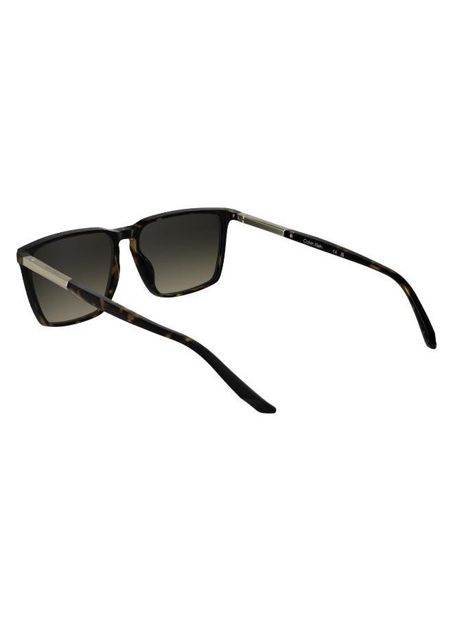 CALVIN KLEIN Rectangle Sunglasses  - Image 5