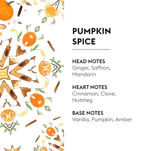 MAISON BERGER Pumpkin Spice – Home Fragrance Refill, 1L (33.8 Fluid Ounces) Warm Autumn Aroma – Air Purifier for Lampe Berger Diffuser – 160 Hrs of Cozy Seasonal Scent - Image 2