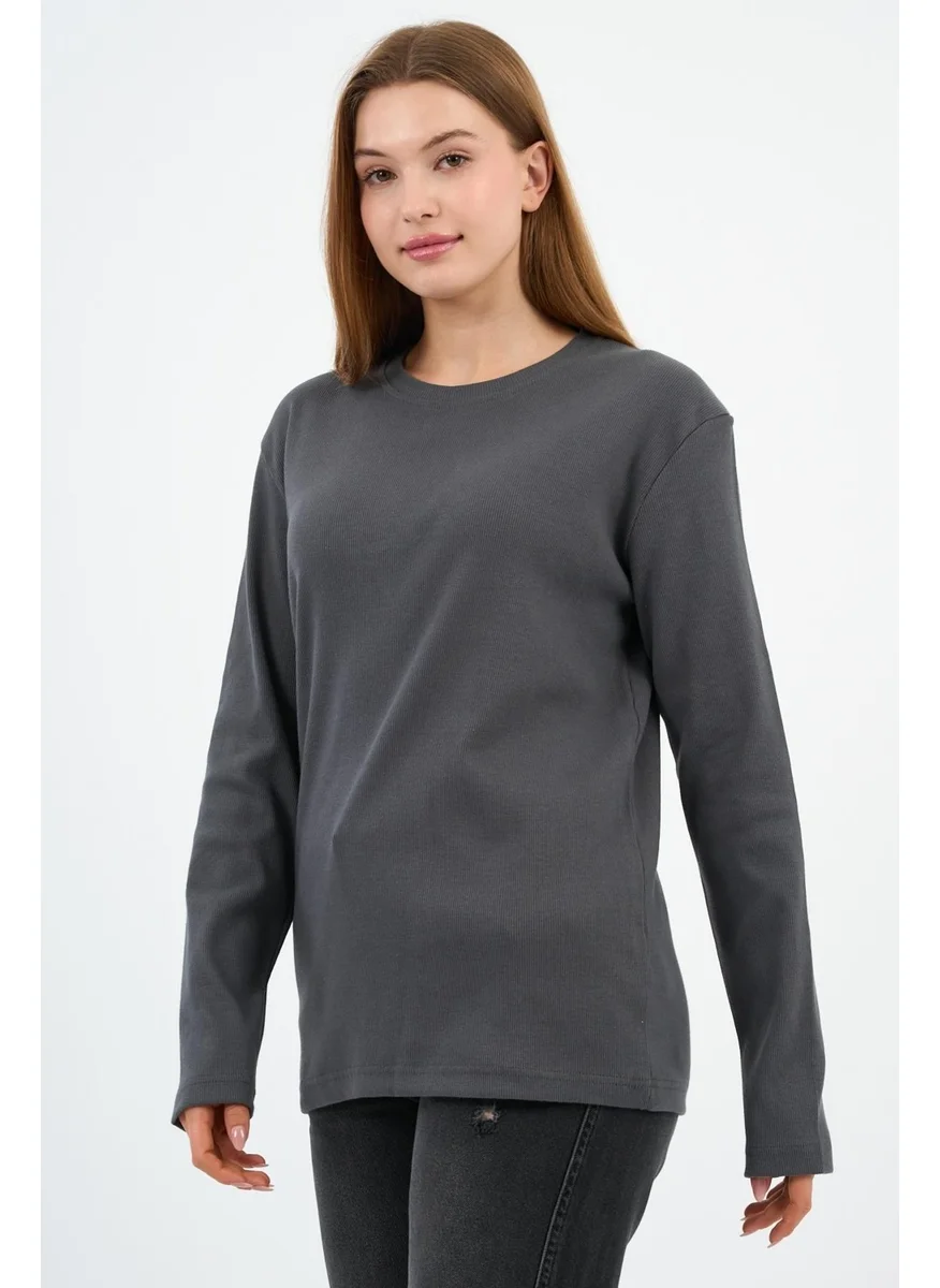 الكسندر جاردي Crew Neck Lycra Long Sleeve Camisole Sweatshirt (WK25588)