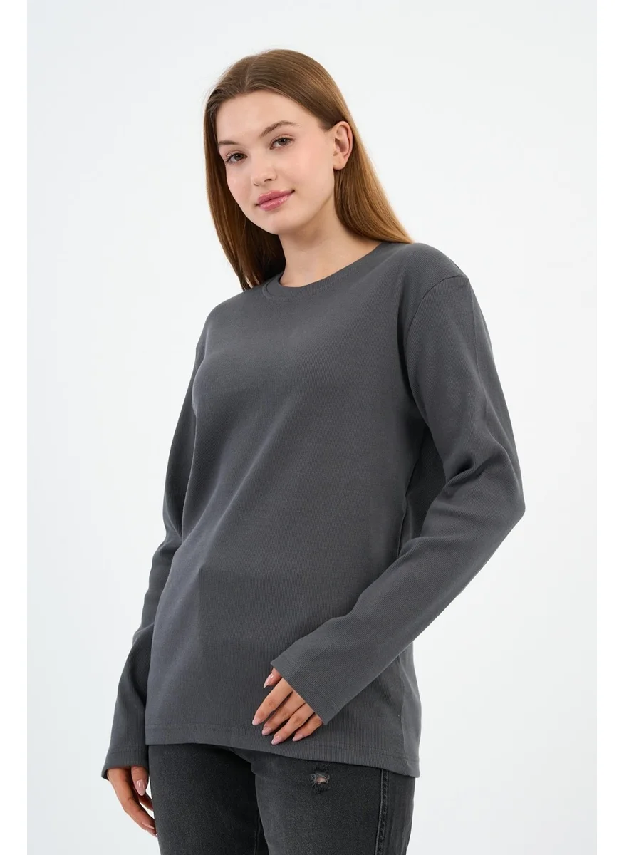 الكسندر جاردي Crew Neck Lycra Long Sleeve Camisole Sweatshirt (WK25588)