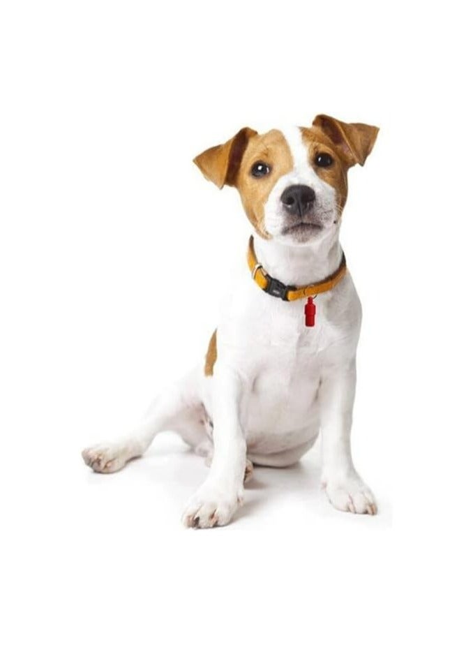 Pet Dog Tag Nameplate Necklace
