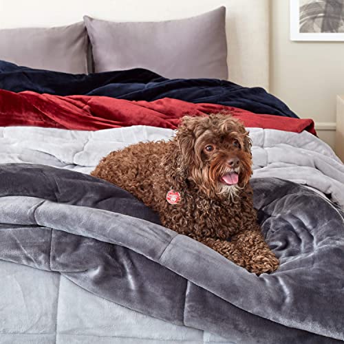 Vellux Plush Lux Blanket - Image 5