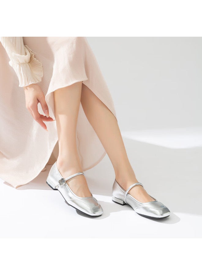 Red Dragonfly Retro Mary Jane Shoes Spring And Summer Shallow Mouth Low Heel Women's Shoes French Square Head Soft Bottom Women's Single Shoes Wtb34373 Silver 36 - Image 4