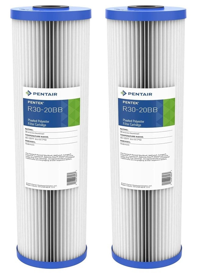 Pentek Pentair Pentek R30-20BB Big Blue Sediment Water Filter, Whole House Pleated Polyester Filter Cartridge, 20" x 4.5", 30 Micron, Pack of 2 - Image 1