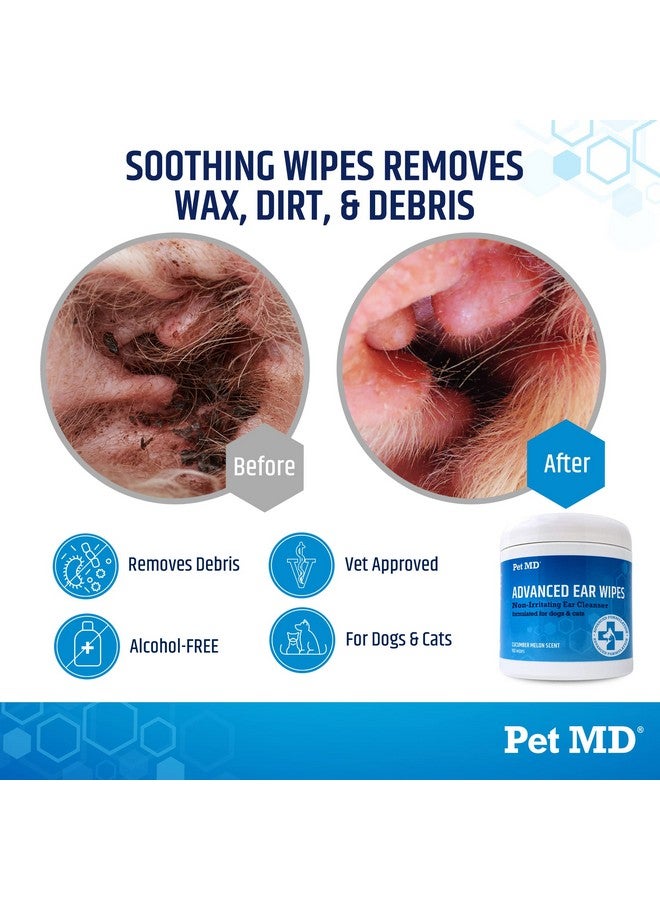 Pet MD Cat And Dog Ear Cleaner Wipes  Advanced Otic Veterinary Ear Cleaner Formula  Dog Ear Infection Treatment  100 Count - Image 2