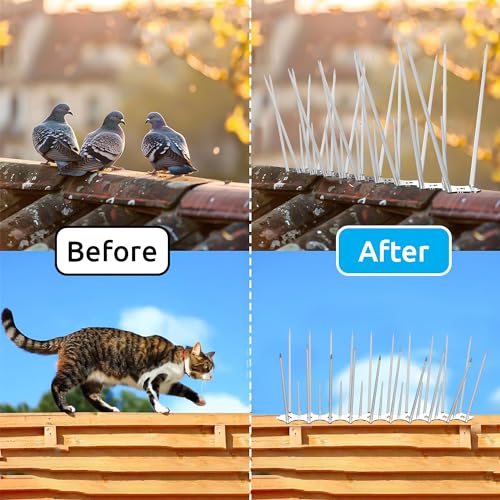 Eightiz (Pack of 40) Bird and Pigeon Spikes, Pigeon Control Spikes Anti Bird Plastic Spikes for AC Balcony Railing Window Home Protection from Pigeon Dog Monkey Crow Kabootar Transparent - Image 2
