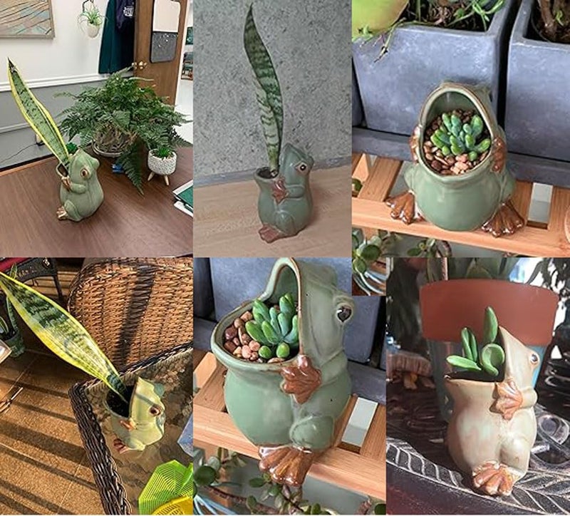 MONMOB 7" Ceramic Frog Shaped Plant Pot for Bonsai Flower Succulent Planter Candy Dish Pencil Holder Decor Multipurpose Green Frog Gift - Image 4
