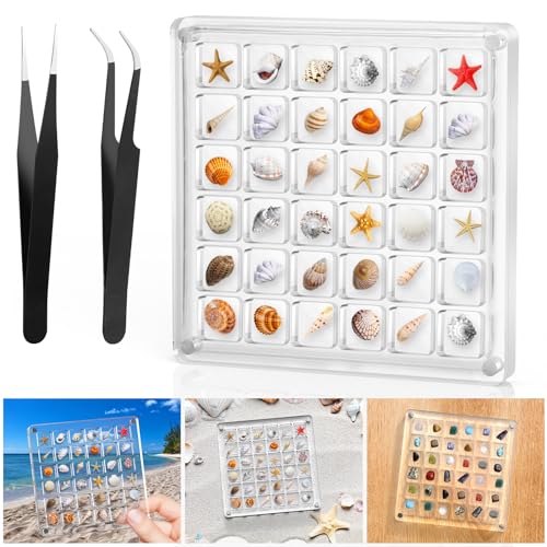 XANGNIER Acrylic Magnetic Seashell Display Box,Clear Sea Shell Display Box,Beach Magnet Storage Organizer Case for Seashell Diamond Beads,36 Grids,Transparent,1 Pack - Image 1