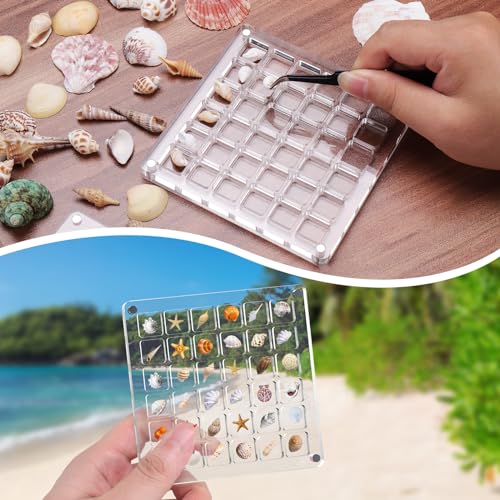 XANGNIER Acrylic Magnetic Seashell Display Box,Clear Sea Shell Display Box,Beach Magnet Storage Organizer Case for Seashell Diamond Beads,36 Grids,Transparent,1 Pack - Image 5