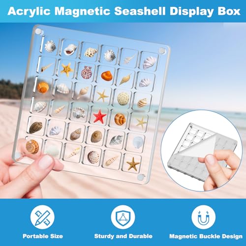 XANGNIER Acrylic Magnetic Seashell Display Box,Clear Sea Shell Display Box,Beach Magnet Storage Organizer Case for Seashell Diamond Beads,36 Grids,Transparent,1 Pack - Image 3