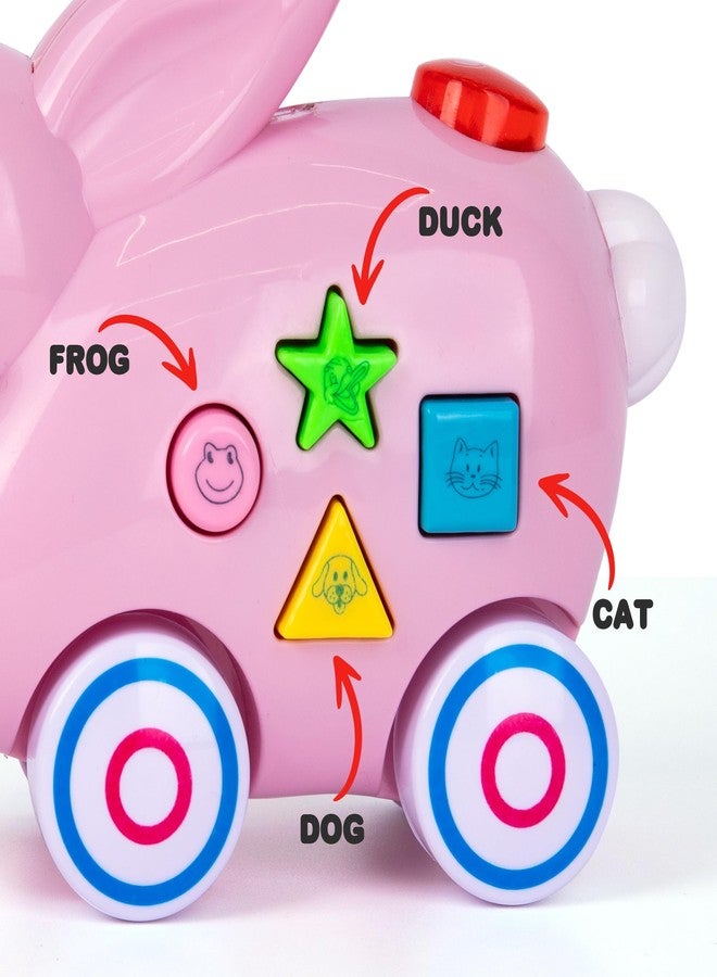 ArtCreativity Bunny Pull Toy for Toddlers with Lights, Music, and 4 Animal Sounds - Learning Toy with Shapes and Colors - Image 3