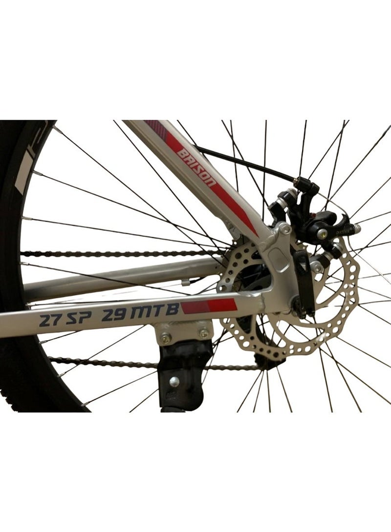 Hador Baison 29 - Image 4