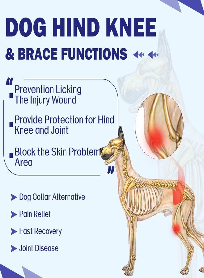 ROZKITCH Dog Rear Leg Surgery for Right Left Leg, Pet Prevent Licking Wound Elbow Protector, Dog Rear Leg Sleeve for Sprain ACL CCL Arthritis Joint Care Blue XS - Image 3