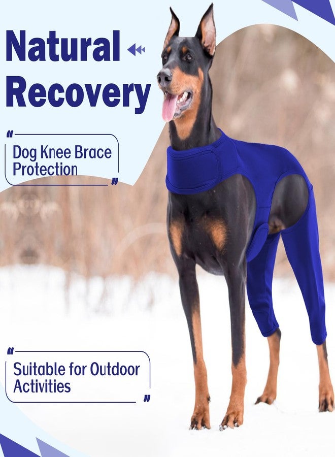 ROZKITCH Dog Rear Leg Surgery for Right Left Leg, Pet Prevent Licking Wound Elbow Protector, Dog Rear Leg Sleeve for Sprain ACL CCL Arthritis Joint Care Blue XS - Image 4