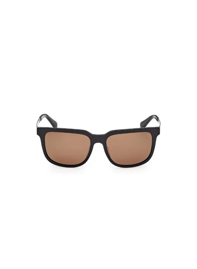 تمبرلاند wayfarers sunglasses